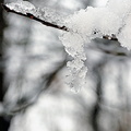 hiver-JVA_5173.jpg
