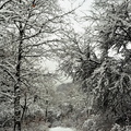 hiver-JVA_5264.jpg