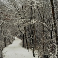 hiver-JVA_5272.jpg