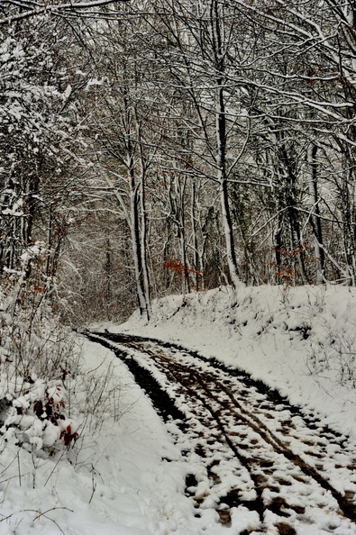hiver-JVA_5301.jpg