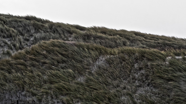 DSC_5936_DxO.jpeg
