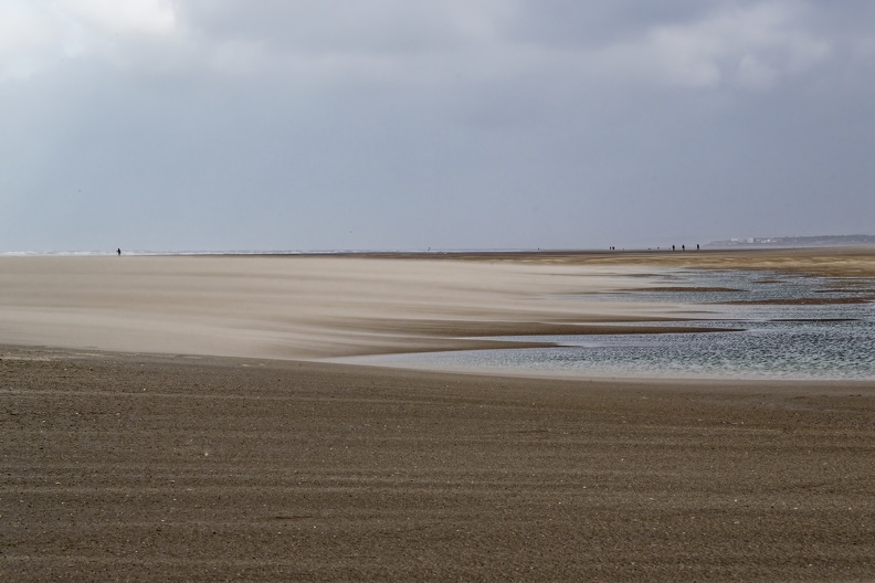 DSC_6039_DxO.jpeg