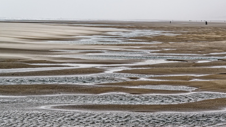 DSC_6010_DxO.jpeg