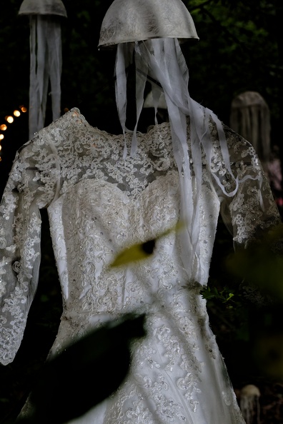 DSC_3880_DxO.jpg